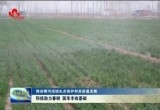 【推动黄河流域生态保护和高质量发展】科技助力春耕 筑牢丰收基础