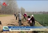 单县、成武县：发展乡村特色种植 拓宽农民增收致富路