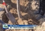 曹县：开展杨絮污染治理 助推林木产业高质量发展