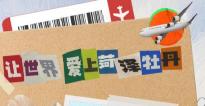 让世界爱上菏泽牡丹 第32届菏泽国际牡丹文化节将于4月7日启幕