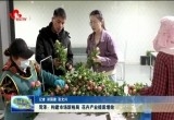 菏泽：构建市场新格局 花卉产业提质增效