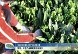 【推动黄河流域生态保护和高质量发展】菏泽：特色产业鼓起群众钱袋子