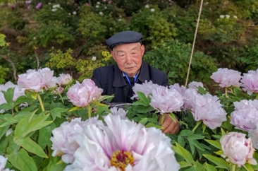  菏泽珍稀牡丹品种争奇斗艳！ 