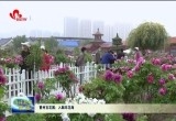 曹州百花园：入眼尽花海