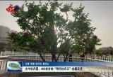 古今牡丹园：400余岁的“明代牡丹王”吐露芬芳