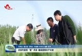 农技专家把“麦”问诊 确保夏粮丰产丰收