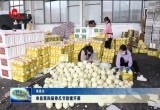 单县第四届香瓜节甜蜜开幕