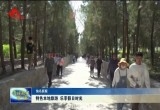 特色本地旅游 乐享假日时光