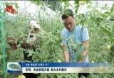 东明：农业转型升级 助力乡村振兴