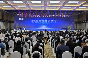  山之东，何以知泽 