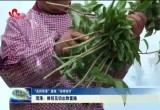  【“花样菏泽”绽放“花样经济”】菏泽：鲜切花切出致富路