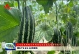 牡丹区、曹县：特色产业架起乡村致富桥