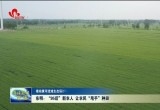 东明：95后“新农人” 专业化农机服务让农民“甩手”种田