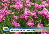 单县：扮靓乡村 挖掘“边角” 环境经济双提升