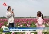 鲁西新区佃户屯街道：擦亮生态底色 赋能乡村振兴