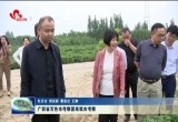 广西省百色市考察团来菏泽市考察