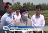 曹临调研万福河流域水环境治理工作