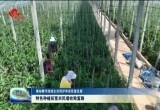 菏泽特色种植拓宽农民增收致富路