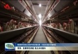 菏泽：发展特色养殖 助力乡村振兴