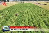 菏泽：发展特色产业 赋能乡村振兴