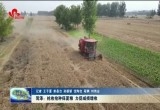 菏泽：抢收抢种保夏粮 力促减损增收