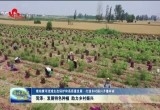 菏泽：发展特色种植 助力乡村振兴