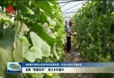 发展“甜蜜经济” 助力乡村振兴