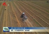 成武：15万吨麦秸秆变身“金色财富”
