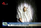 菏泽：大力发展特色养殖 拓宽群众增收致富路