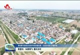 袁堂村：头雁领飞 振兴乡村