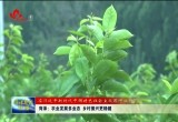 菏泽：农业发展多业态 乡村振兴更稳健