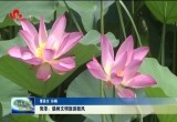 菏泽：倡树文明旅游新风