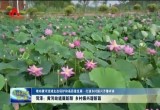菏泽：黄河故道展新颜 乡村振兴谱新篇