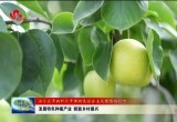 菏泽市各地发展特色种植产业 赋能乡村振兴