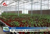 菏泽：聚焦绿色低碳林产业 助力建设高质量发展先行区