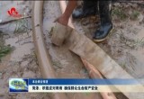 菏泽：积极应对降雨 确保群众生命财产安全