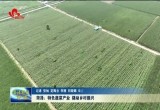菏泽：特色蔬菜产业 撬动乡村振兴