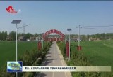 曹县：生态与产业同频共振 三级林长助推林业高质量发展