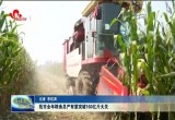 菏泽市全年粮食总产有望突破160亿斤大关
