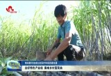 【推动黄河流域生态保护和高质量发展】菏泽念好特色产业经 奏响乡村富民曲