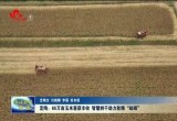 定陶：65万亩玉米喜获丰收 智慧烘干助力秋粮“晾晒”