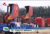 菏泽：玉米机收大比武 减损降耗稳丰收