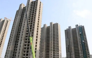 新房竣工前应组织业主查验