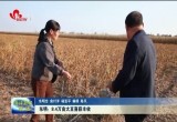 东明：8.4万亩大豆喜获丰收