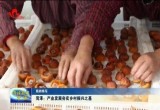 【新闻特写】菏泽：产业发展夯实乡村振兴之基
