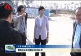 曹临现场调研城区水环境工作