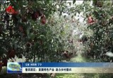 菏泽鲁西新区：发展特色产业 助力乡村振兴