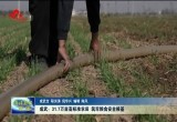 成武：31.7万亩高标准农田 筑牢粮食安全根基