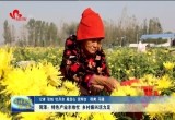 菏泽：特色产业丰收忙 乡村振兴活力足