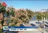 菏泽市迎来新一轮“断崖式”降温